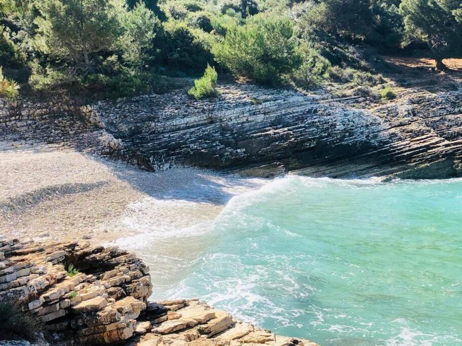Two Olives, Free Parking, Close To Beaches & Park *